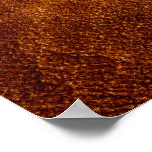 Poster U.S. Marines: Captain (USMC Capt) [3D] (Coin)