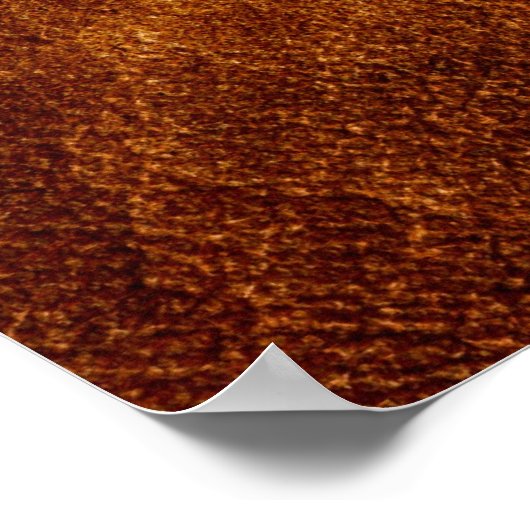 Poster U.S. Marines : Lieutenant-colonel (USMC LtCol) [3D (Coin)