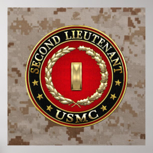 Poster U.S. Marines: second lieutenant (USMC 2ndLt) [3D]