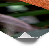 Poster Ubud Travel, Bali Travel (Coin)