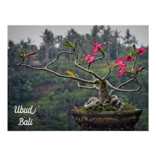 Poster Ubud Travel, Bali Travel (Devant)