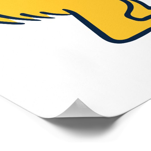 Poster UC Irvine | Anteaters UCI (Coin)