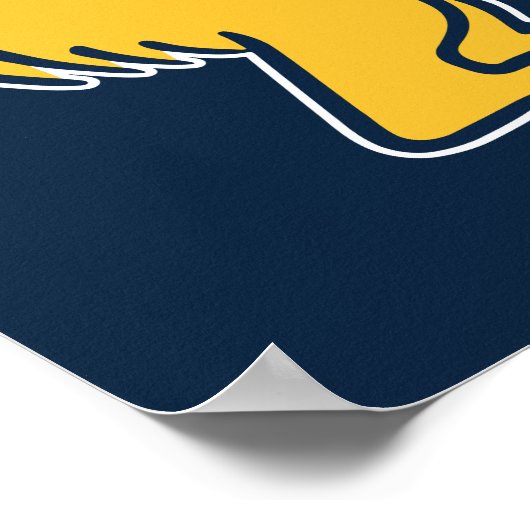 Poster UC Irvine | Anteaters UCI (Coin)