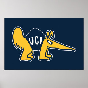 Poster UC Irvine Anteaters UCI