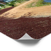 Poster UC Merced (Coin)