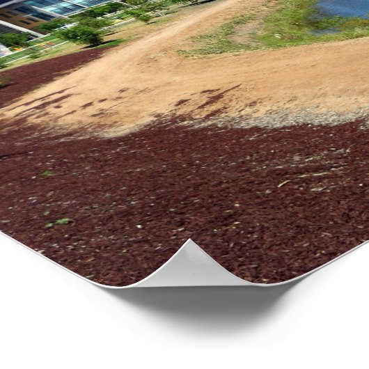 Poster UC Merced (Coin)