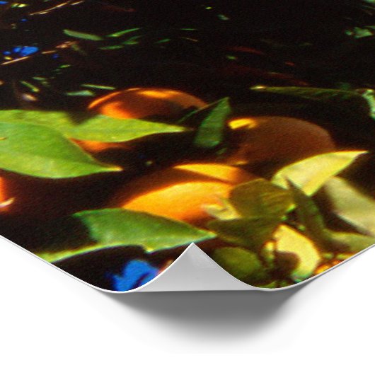 Poster UE, Grèce. Église orthodoxe grecque (Coin)