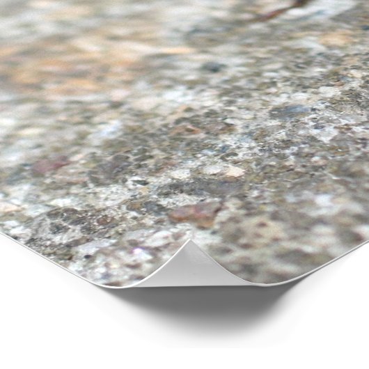 Poster Ugly Bug Kids Room Personalized Wall Door  (Coin)