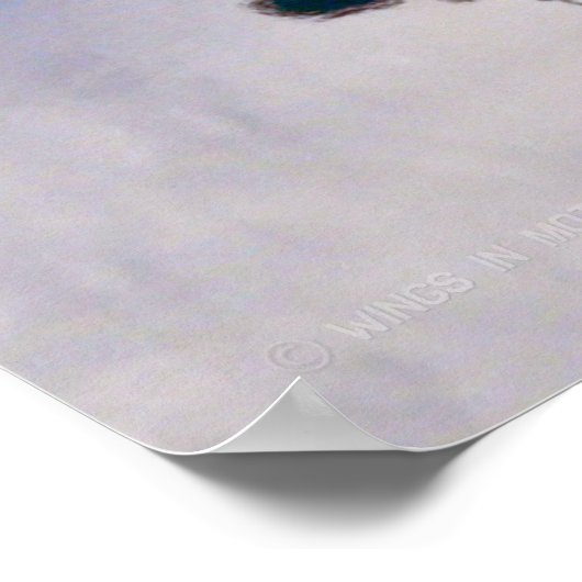 POSTER UH-60M NOIR HAWK (Coin)