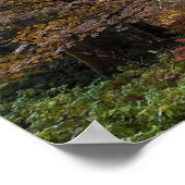 Poster UK. Forest of Dean. Sunbeam penetrating a (Coin)