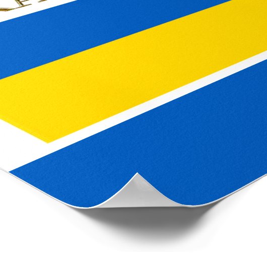 POSTER UKRAINE (Coin)