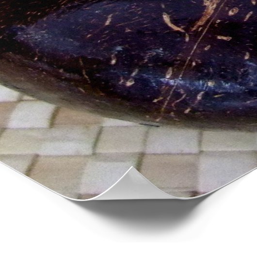 Poster Uli Uli et Feathers (Coin)