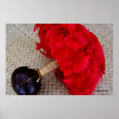 Poster Uli Uli et Feathers (Devant)