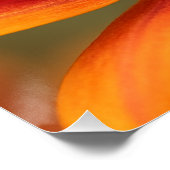 Poster Ultra Macro Honeybee Close Up Photorealistic (Coin)