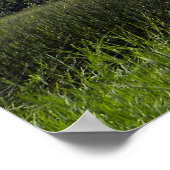 Poster ~ Ultrasarus In Meadow (Coin)