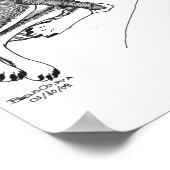 Poster Um dia ela teve outra comphia (Coin)