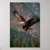 Poster Un aigle majestueux sonne fièrement en gros plan (Devant)