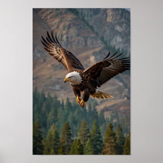 Poster Un aigle majestueux sonne fièrement en gros plan (Devant)