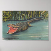 Poster Un alligator affamé en Floride (Devant)