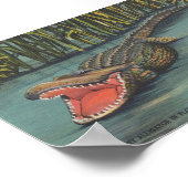 Poster Un alligator affamé en Floride (Coin)