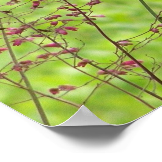 Poster Un ami d'été (Coin)