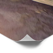 Poster Un amour des chevaux (Coin)