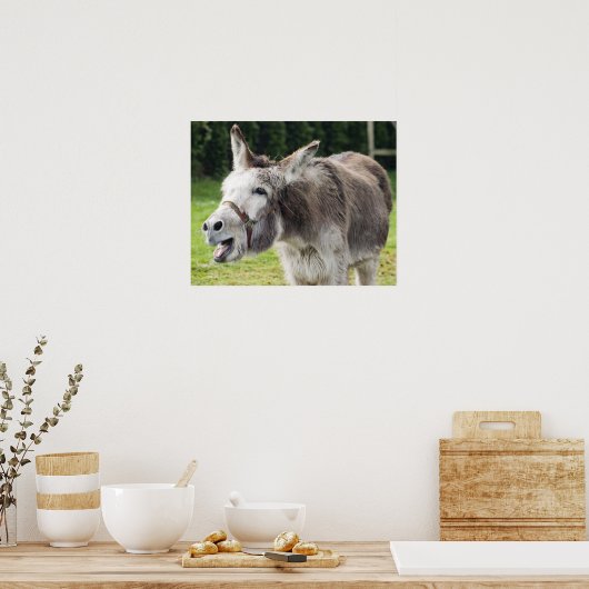 Poster Un âne (Cuisine)