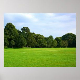 Poster Un après-midi tranquille dans le parc