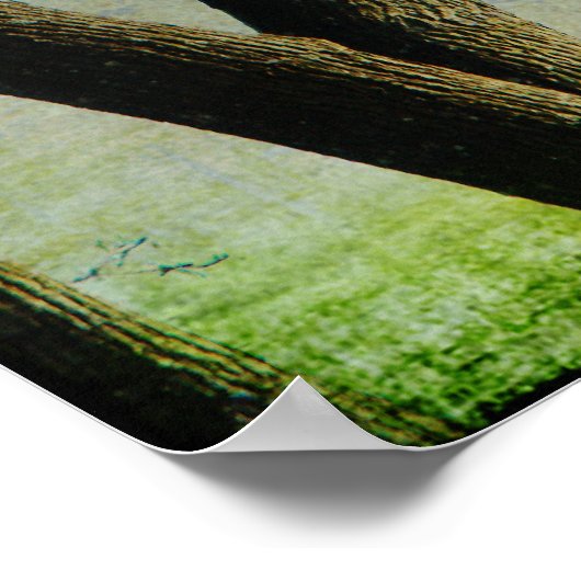 Poster Un arbre (Coin)