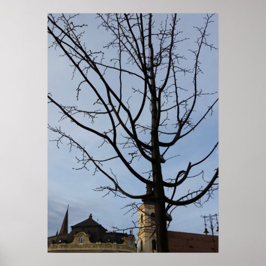 Poster un arbre en herbe (Devant)