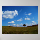 Poster Un arbre solitaire (Devant)