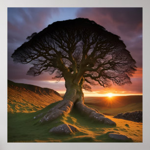 Poster Un arbre solitaire dans l'acception de la nature