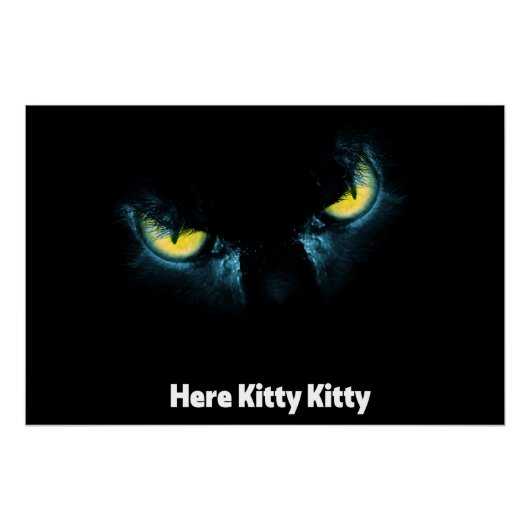 Poster Un arrière - plan noir regarde un chat effrayant (Devant)