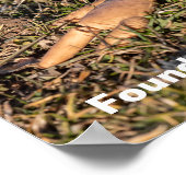 Poster Un autre corps trouvé dans le parc (Coin)