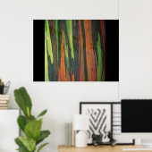 Poster Un autre eucalyptus arc-en-ciel (Bureau à domicile)