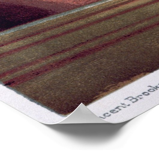 Poster Un avocat écossais (Coin)