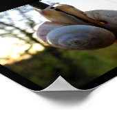 Poster Un baiser lent et doux (Coin)