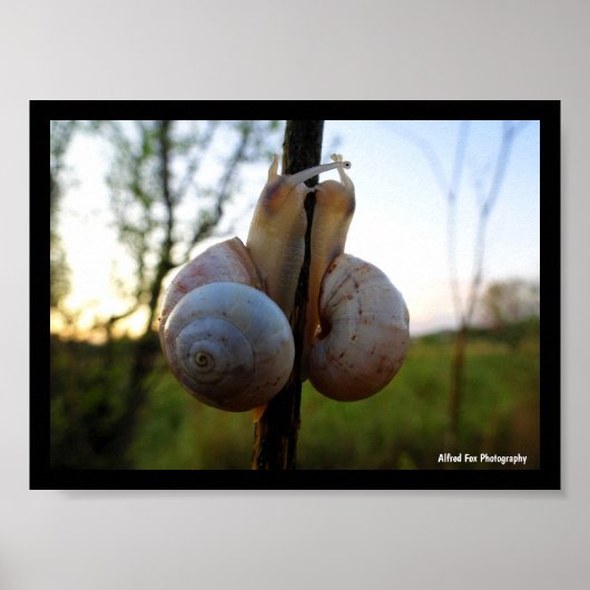 Poster Un baiser lent et doux (Devant)