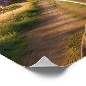 Poster Un Beagle de charme dans une campagne rustique (Coin)