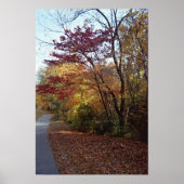 Poster Un Beau Arbour (Devant)