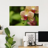 Poster Un beau couple (Bureau à domicile)