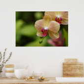 Poster Un beau couple (Cuisine)