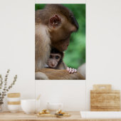 Poster Un bébé Macaque et c'est la mère (Cuisine)