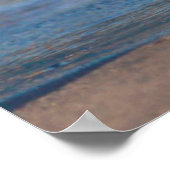 Poster Un bébé phoque levant sa queue (Coin)