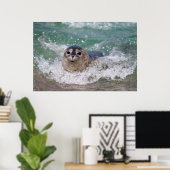 Poster Un bébé phoque surfant (Bureau à domicile)