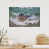 Poster Un bébé phoque surfant (Cuisine)