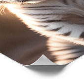 Poster Un bébé tigre blanc mignon (Coin)