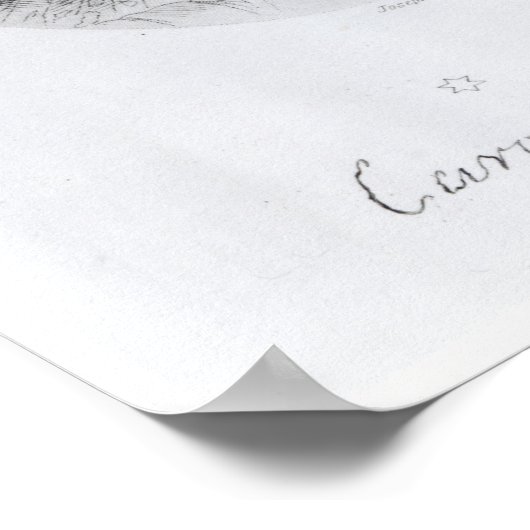 Poster Un berger (Coin)