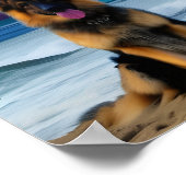 Poster Un berger allemand de plage (Coin)