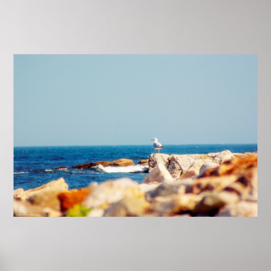 Poster Un billet de Gull (Devant)